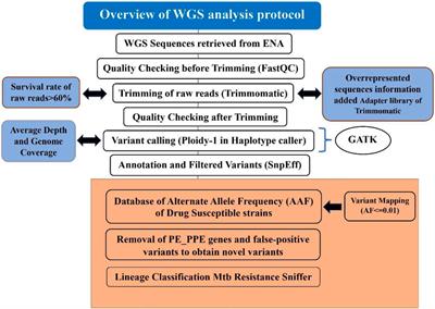 MycoVarP: Mycobacterium Variant and Drug Resistance Prediction Pipeline for Whole-Genome Sequence Data Analysis